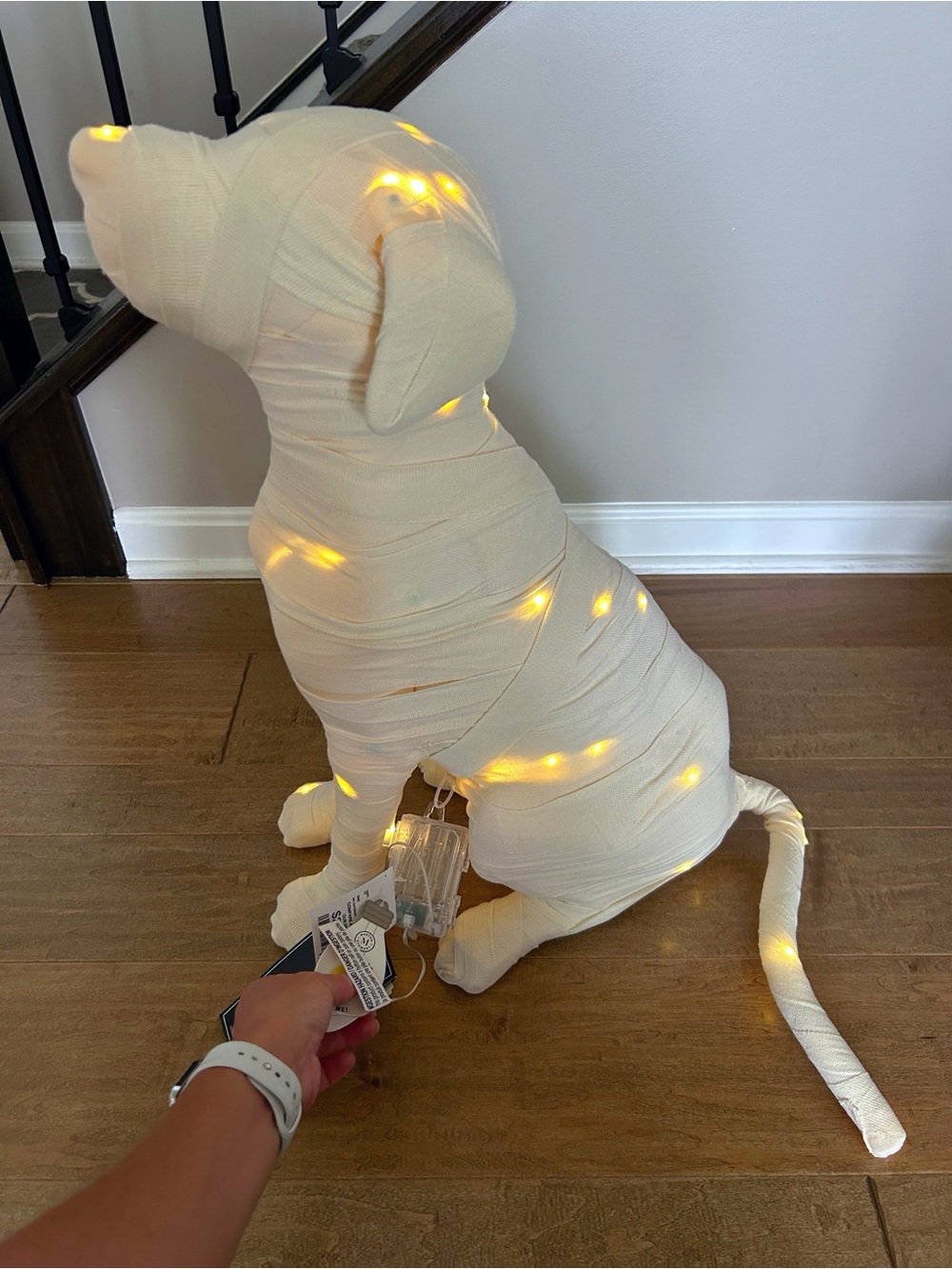 Martha Stewart LED Mummy Dog Halloween Decor